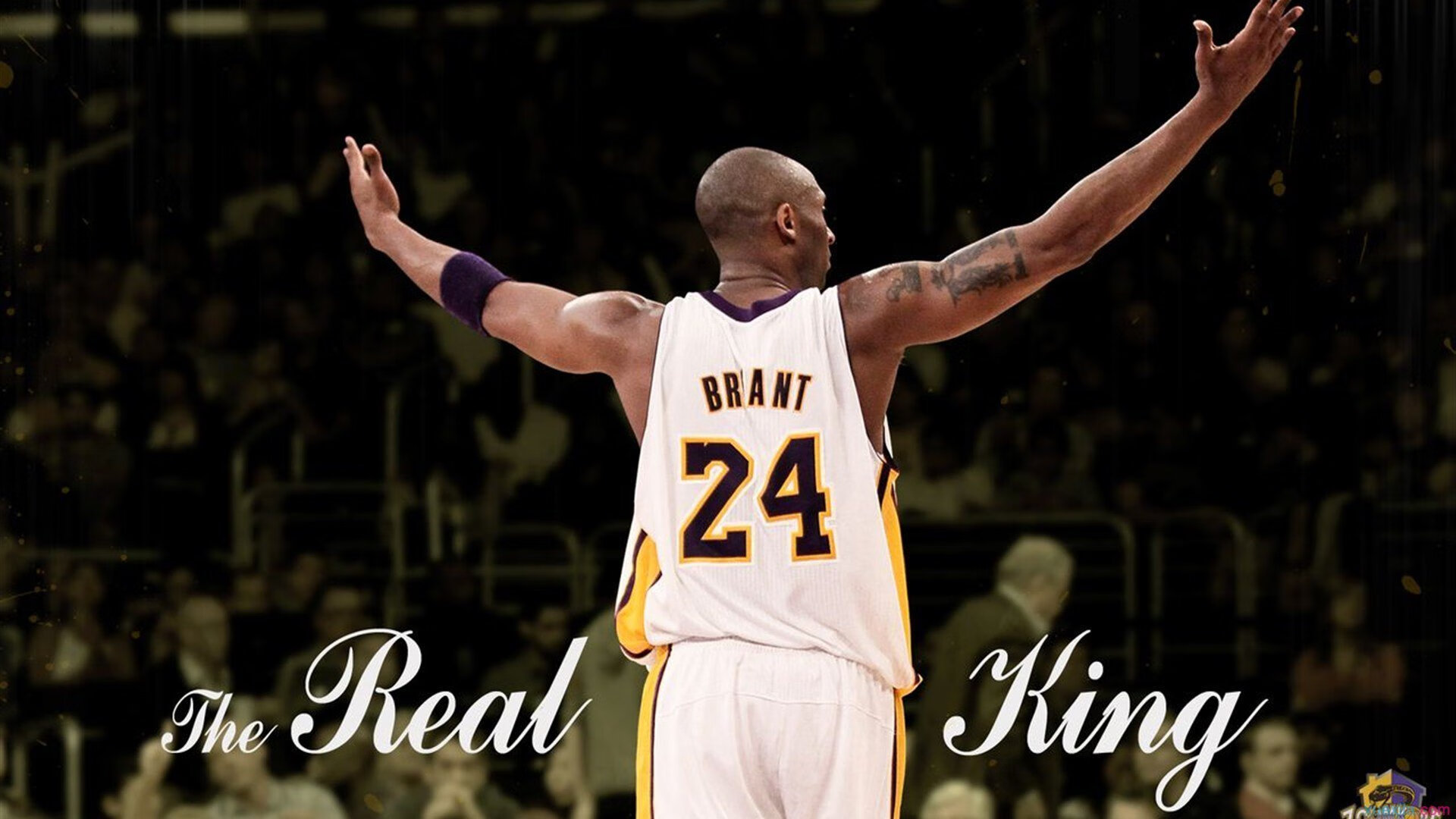 青少年电子竞技对抗赛激发战略思维与协作，青少年电子锦标赛简介